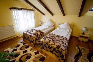 Отель Green Garden Resort Odobeşti Стандартный двухместный номер с 2 отдельными кроватями-2